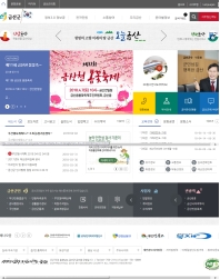 금산군청 인증 화면