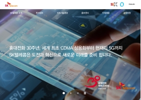 SKT 기업대표사이트 인증 화면