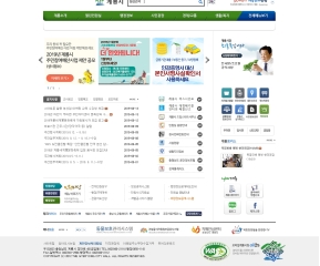 계룡시 대표 홈페이지 인증 화면