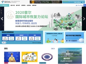 서울시 (중국어-간체) 인증 화면