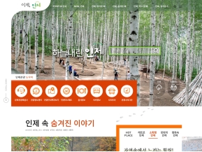 인제문화관광 인증 화면