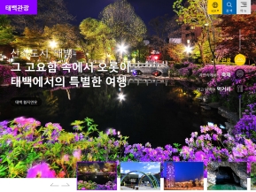 태백관광					 					 인증 화면